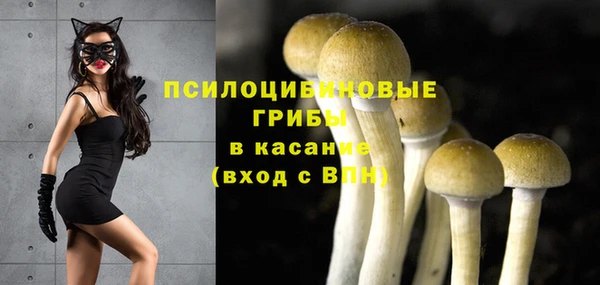 гидра Алексин