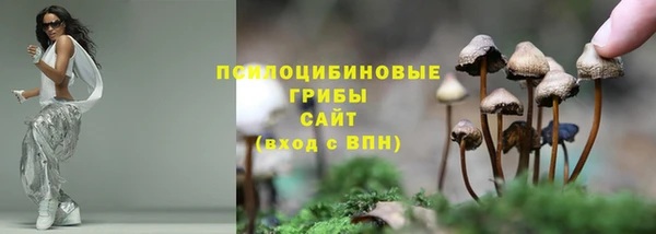 марки lsd Алексеевка