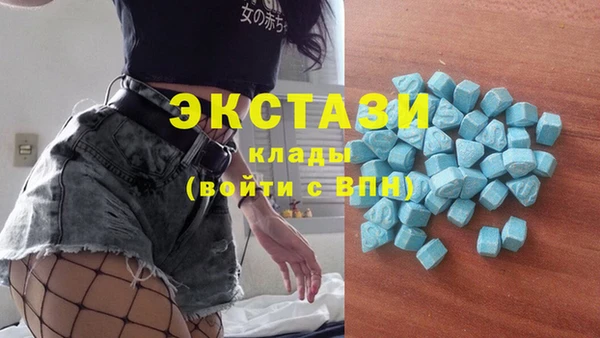 гидра Алексин